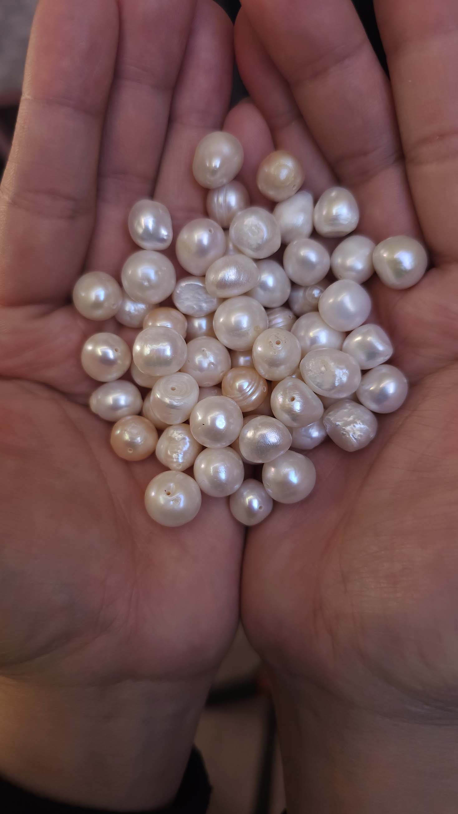 Timeless Elegance Pearls