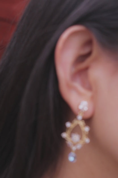 Frozen In Time Earrings